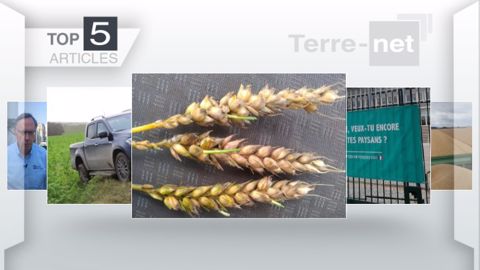 Articles les plus lus sur Terre-net cette semaine. (©Terre-net Média)