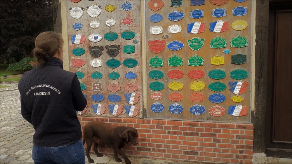 Pour Marie Bils, les concours sont comme une carte de visite (©Terre-net Media)