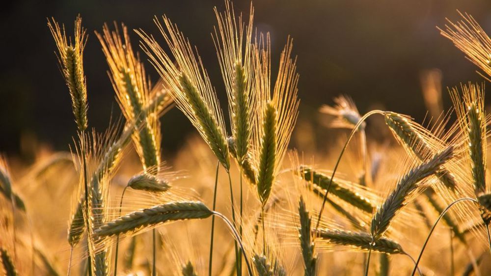a « tendance structurelle » à la baisse sera plus visible dans les deux ans qui viennent sous l'effet des restrictions (©Pixabay)