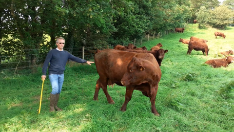 Faire plus de veaux avec moins de vaches Faire plus de veaux avec moins de vaches