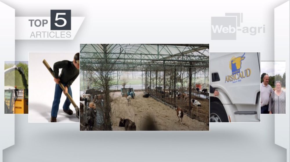 Articles les plus lus sur Web-agri cette semaine. (©Terre-net Média) Articles les plus lus sur Web-agri cette semaine. (©Terre-net Média)
