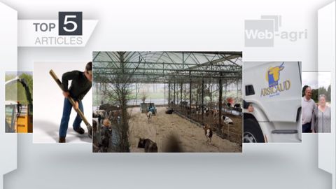 Articles les plus lus sur Web-agri cette semaine. (©Terre-net Média) Articles les plus lus sur Web-agri cette semaine. (©Terre-net Média)