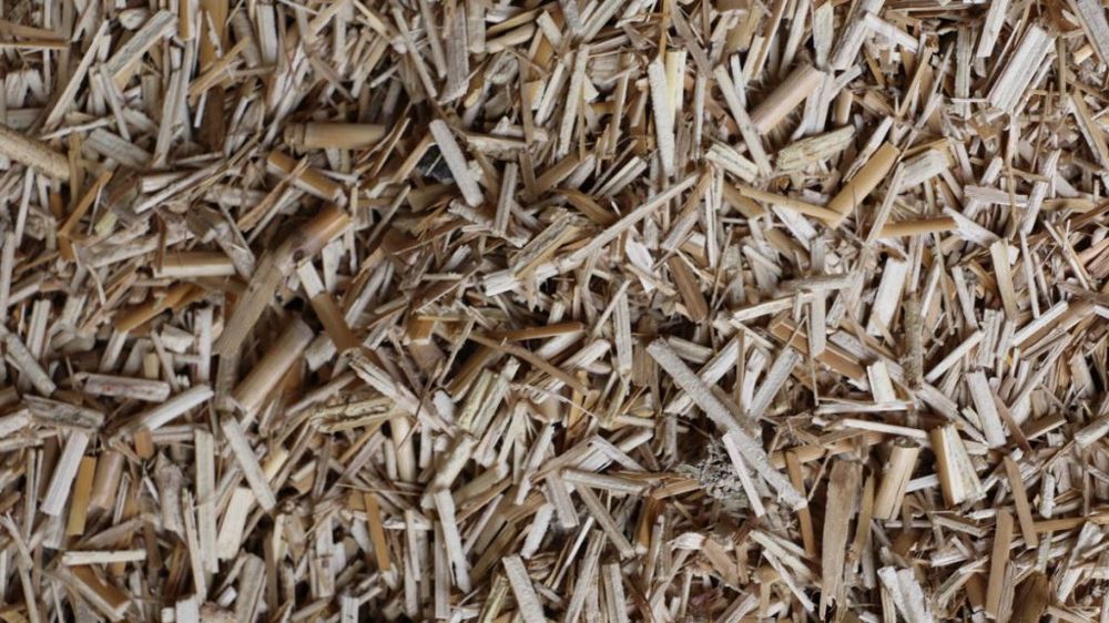 Sans une vision structurée et transversale, le développement de la biomasse agricole ne pourra pas contribuer suffisamment à l'atteinte de la neutralité carbone. (©Terre-net Média)
