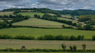 Comment restaurer les haies grâce aux PSE expérimentaux ? (©Pixabay) Comment restaurer les haies grâce aux PSE expérimentaux ? (©Pixabay)