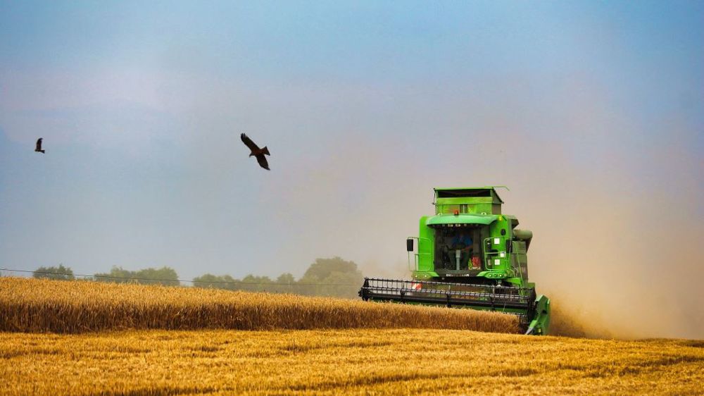 Les intempéries de l'été 2021 ont compliqué et retardé la moisson, et font encore craindre pour la qualité des grains (©Pixabay)