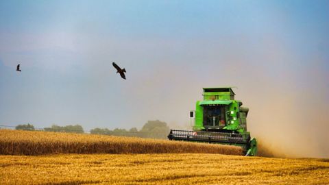 Les intempéries de l'été 2021 ont compliqué et retardé la moisson, et font encore craindre pour la qualité des grains (©Pixabay)