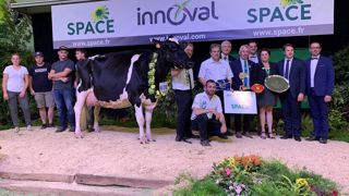 3 ans plus tard, Du Bon Vent Janna Cama (Aftershock x Goldwyn) rafle de nouveau le titre de grande championne du Space. (©Terre-net Média) 3 ans plus tard, Du Bon Vent Janna Cama (Aftershock x Goldwyn) rafle de nouveau le titre de grande championne du Space. (©Terre-net Média)