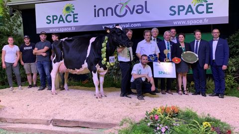 3 ans plus tard, Du Bon Vent Janna Cama (Aftershock x Goldwyn) rafle de nouveau le titre de grande championne du Space. (©Terre-net Média) 3 ans plus tard, Du Bon Vent Janna Cama (Aftershock x Goldwyn) rafle de nouveau le titre de grande championne du Space. (©Terre-net Média)
