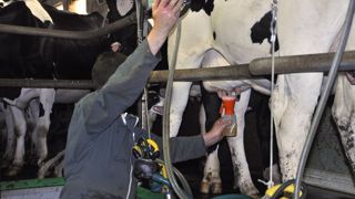 En 10 minutes, testez votre lait à la ferme pour éviter les pénalités En 10 minutes, testez votre lait à la ferme pour éviter les pénalités