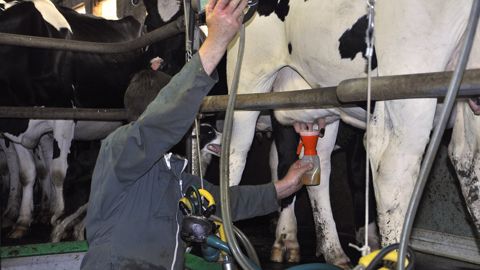 En 10 minutes, testez votre lait à la ferme pour éviter les pénalités En 10 minutes, testez votre lait à la ferme pour éviter les pénalités
