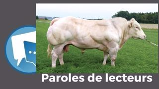 « Ce sont l'insémination artificielle, le testage, la transplantation embryonnaire et maintenant le <a href="https://www.web-agri.fr/genetique/article/179005/faut-il-genotyper-ses-genisses-allaitantes" title="Le génotypage, un investissement rentable selon Antoine Charrier, éleveur" target="_self"><strong>génotypage</strong></a> qui font faire des progrès fantastiques à toute la filière !! », fait remarquer Vi « Ce sont l'insémination artificielle, le testage, la transplantation embryonnaire et maintenant le <a href="https://www.web-agri.fr/genetique/article/179005/faut-il-genotyper-ses-genisses-allaitantes" title="Le génotypage, un investissement rentable selon Antoine Charrier, éleveur" target="_self"><strong>génotypage</strong></a> qui font faire des progrès fantastiques à toute la filière !! », fait remarquer Vi