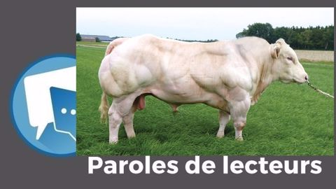 « Ce sont l'insémination artificielle, le testage, la transplantation embryonnaire et maintenant le <a href="https://www.web-agri.fr/genetique/article/179005/faut-il-genotyper-ses-genisses-allaitantes" title="Le génotypage, un investissement rentable selon Antoine Charrier, éleveur" target="_self"><strong>génotypage</strong></a> qui font faire des progrès fantastiques à toute la filière !! », fait remarquer Vi « Ce sont l'insémination artificielle, le testage, la transplantation embryonnaire et maintenant le <a href="https://www.web-agri.fr/genetique/article/179005/faut-il-genotyper-ses-genisses-allaitantes" title="Le génotypage, un investissement rentable selon Antoine Charrier, éleveur" target="_self"><strong>génotypage</strong></a> qui font faire des progrès fantastiques à toute la filière !! », fait remarquer Vi