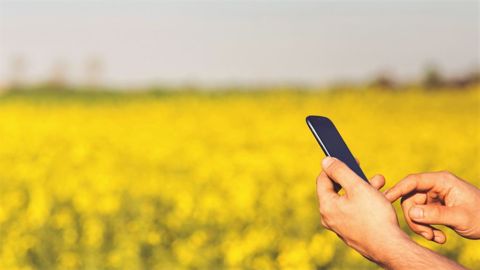 Le ministre de l'agriculture veut associer davantage French Tech et performance agricole française. (©Pixabay)