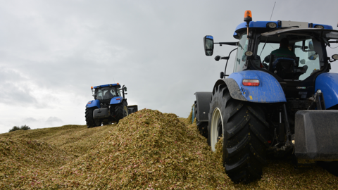 Mieux vaut prévoir deux tracteurs pour le tassement du silo afin de pouvoir suivre le débit de chantier de l'ensileuse. (©Terre-net Media) Mieux vaut prévoir deux tracteurs pour le tassement du silo afin de pouvoir suivre le débit de chantier de l'ensileuse. (©Terre-net Media)
