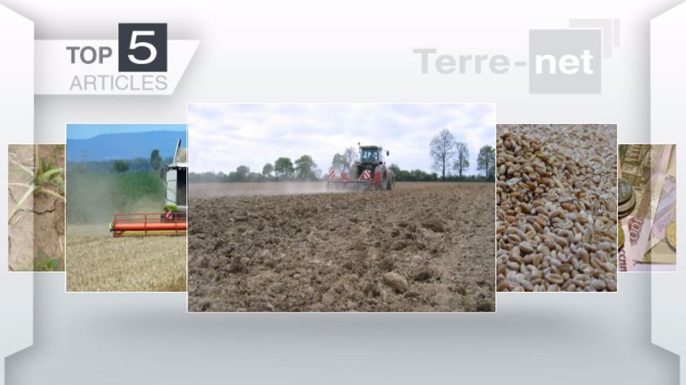 Top articles de Terre-net cette semaine. (©Terre-net Média)