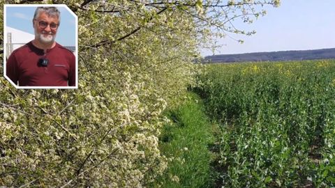 Régulation naturelle : « mobiliser les leviers pour réduire les insecticides »