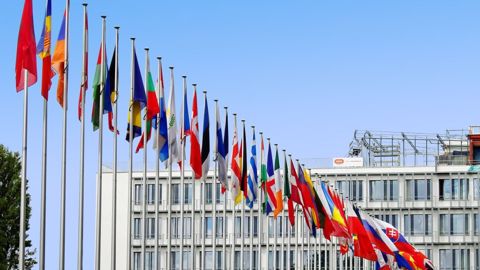 La France aura pour priorité de verdir les importations agricoles au niveau européen (©Pixabay) La France aura pour priorité de verdir les importations agricoles au niveau européen (©Pixabay)