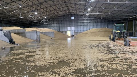 Après un orage, il se retrouve avec 10 cm d'eau dans son blé stocké Après un orage, il se retrouve avec 10 cm d'eau dans son blé stocké
