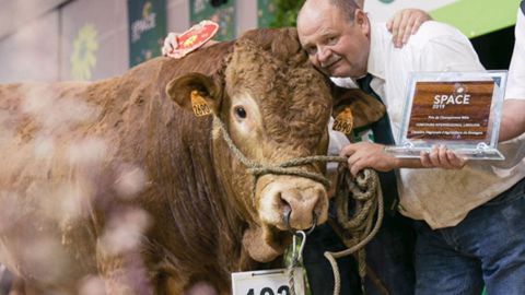 Hôtesse et Matador gagnent le concours Limousine