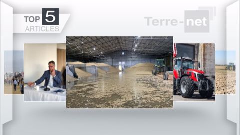 Articles les plus lus sur Terre-net cette semaine. (©Terre-net Média) Articles les plus lus sur Terre-net cette semaine. (©Terre-net Média)