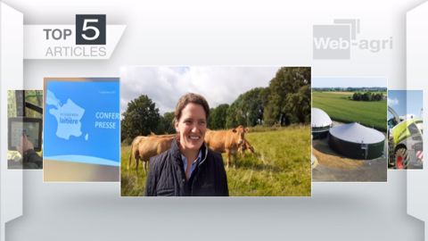 Articles les plus lus sur Web-agri cette semaine. (©Terre-net Média) Articles les plus lus sur Web-agri cette semaine. (©Terre-net Média)