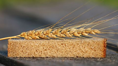 La bonne qualité de la récolte de blé tendre 2021 a été néanmoins pénalisée par des niveaux de poids spécifiques décevants. (©Pixabay) La bonne qualité de la récolte de blé tendre 2021 a été néanmoins pénalisée par des niveaux de poids spécifiques décevants. (©Pixabay)