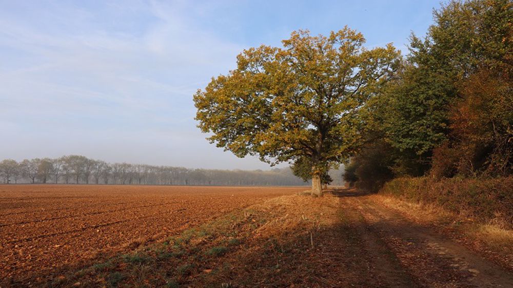Une bonne alternance de pluies et de beau temps améliore les conditions de semis. (©PixaBay)<br /><br />