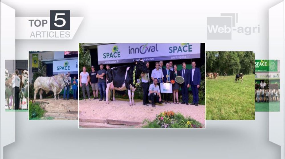 Articles les plus lus sur Web-agri cette semaine. (©Terre-net Média)
