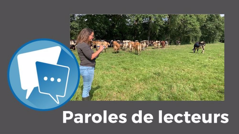  « À quand une réflexion sur le bien-être des éleveurs ? », propose Jmb67. (©Terre-net Média)