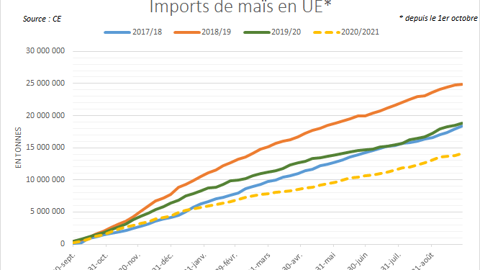 Importations européennes de maïs du 1er octobre au 30 septembre.