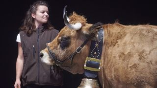 Suivez le concours national Aubrac en live puis retrouvez le palmarès Suivez le concours national Aubrac en live puis retrouvez le palmarès