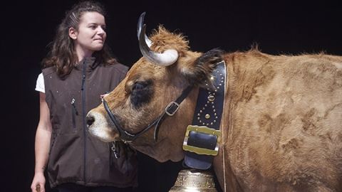 Suivez le concours national Aubrac en live puis retrouvez le palmarès Suivez le concours national Aubrac en live puis retrouvez le palmarès