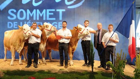 Gourmande grande championne du concours Simmental Gourmande grande championne du concours Simmental