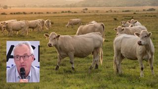 Interbev s’inquiète d’une notation défavorable aux élevages herbagers et bio Interbev s’inquiète d’une notation défavorable aux élevages herbagers et bio