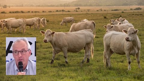 Interbev s’inquiète d’une notation défavorable aux élevages herbagers et bio Interbev s’inquiète d’une notation défavorable aux élevages herbagers et bio