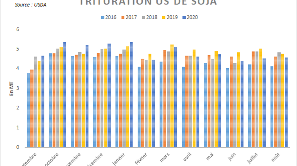 Trituration américaine de soja.