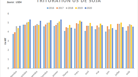 Trituration américaine de soja.