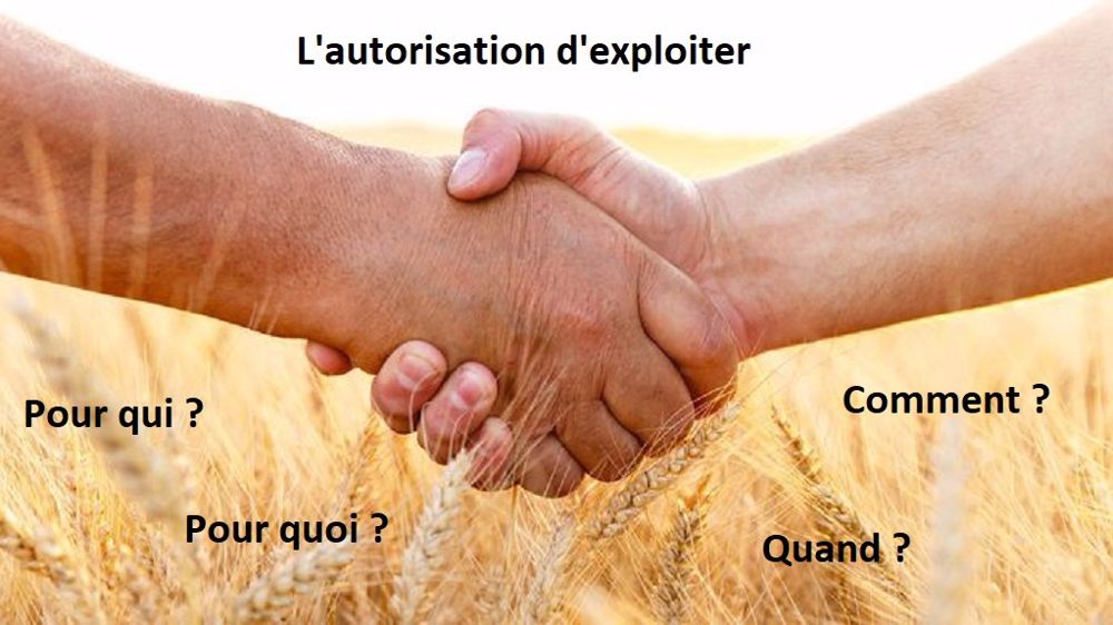  « Un refus d'autorisation d'exploiter, même sur quelques parcelles, pénalise une installation », insiste Rémi Castel. (©Fotolia // Création Terre-net Média)