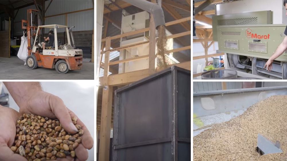 Lupin-orge, triticale-féverole, blé-pois... : voici les différents mélanges qui ont été déjà séparés à la ferme de la Conillais. (©Farming Together)