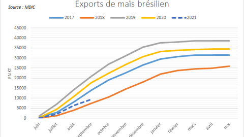 Exports de maïs brésiliens. Exports de maïs brésiliens.