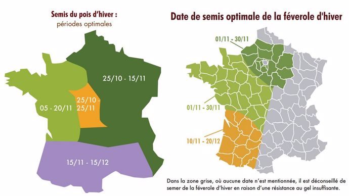 Dates de semis recommandées selon les secteurs 