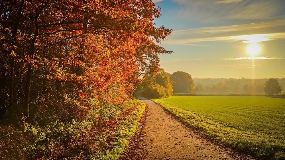 Septembre a été un « mois chaud, relativement sec bien qu'orageux au sud de la Loire, et moyennement ensoleillé », selon MeteoNews.(©Pixabay)