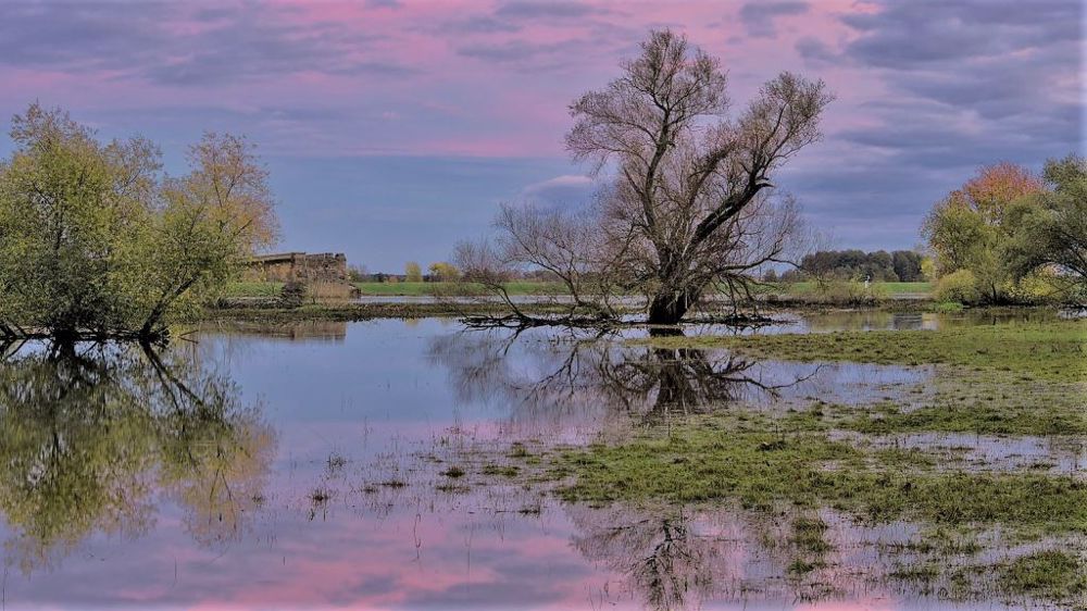 Suite au lancement du Varenne de l'eau fin mai, un bilan d'étape doit faire le point sur les avancées et les travaux qu'il reste à mener. (©Pixabay)