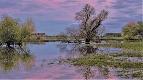 Suite au lancement du Varenne de l'eau fin mai, un bilan d'étape doit faire le point sur les avancées et les travaux qu'il reste à mener. (©Pixabay)