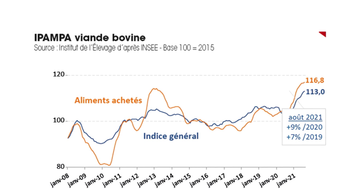 Ipampa viande bovine