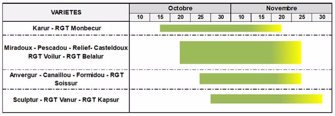 Plages de semis optimales pour les variétés principalement cultivées en Beauce – Nord Loire