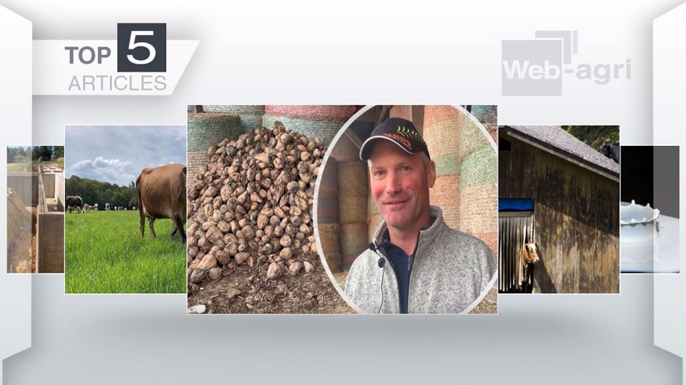 Top articles de Web-agri cette semaine. (©Terre-net Média)