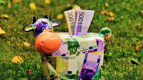 « La hausse du prix du lait n’a pas profité aux producteurs via une marge supplémentaire » « La hausse du prix du lait n’a pas profité aux producteurs via une marge supplémentaire »