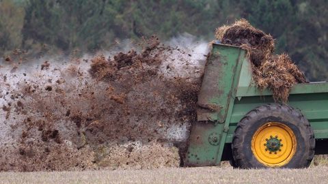 Produire des effluents avant même de faire du lait : ce pourrait bien devenir l'objectif des éleveurs californiens. (©CC) Produire des effluents avant même de faire du lait : ce pourrait bien devenir l'objectif des éleveurs californiens. (©CC)