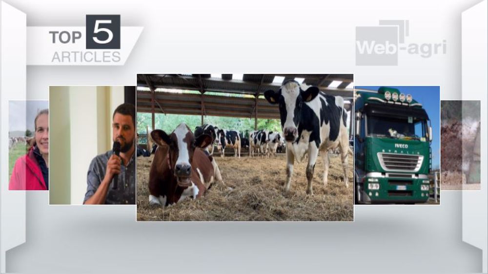 Articles les plus lus sur Web-agri cette semaine. (©Terre-net Média)